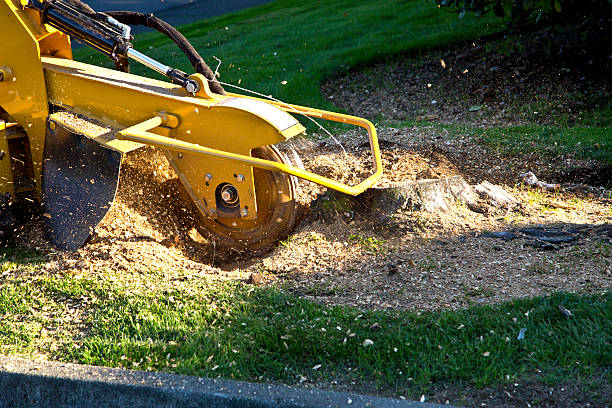 Best Hedge Trimming  in Emah, OK