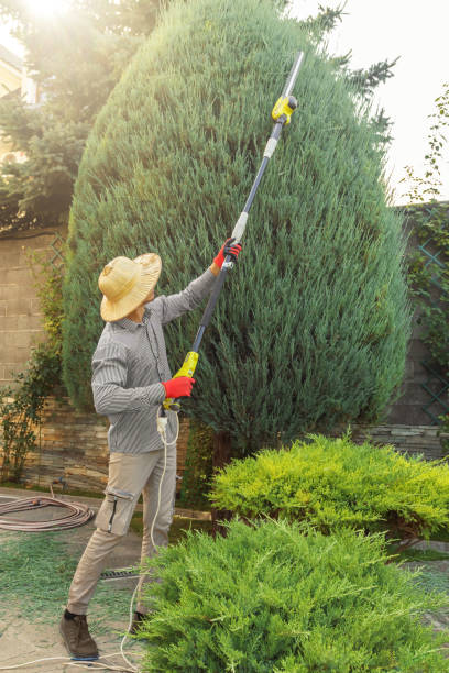 Best Lawn Drainage Solutions  in Emah, OK