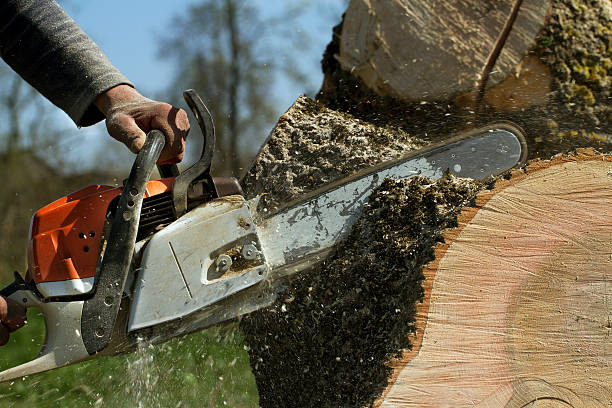 Best Tree Risk Assessment  in Emah, OK